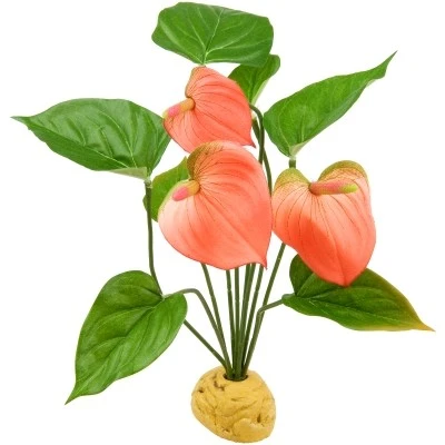 Exo Terra Anthurium bush